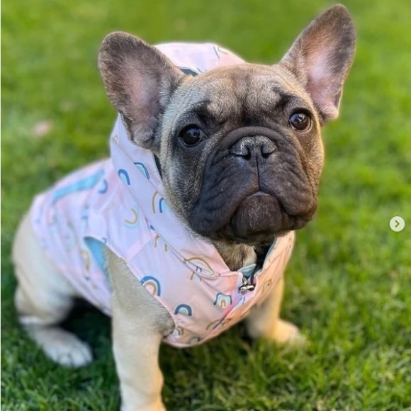 Lucy & Co. Other - Lucy & Co In The Clouds reversible dog raincoat
peach w/rainbows/aqua zip hoodie